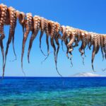 Σπέτσες και Ύδρα: Τα Αρχοντικά Νησιά του Αργοσαρωνικού