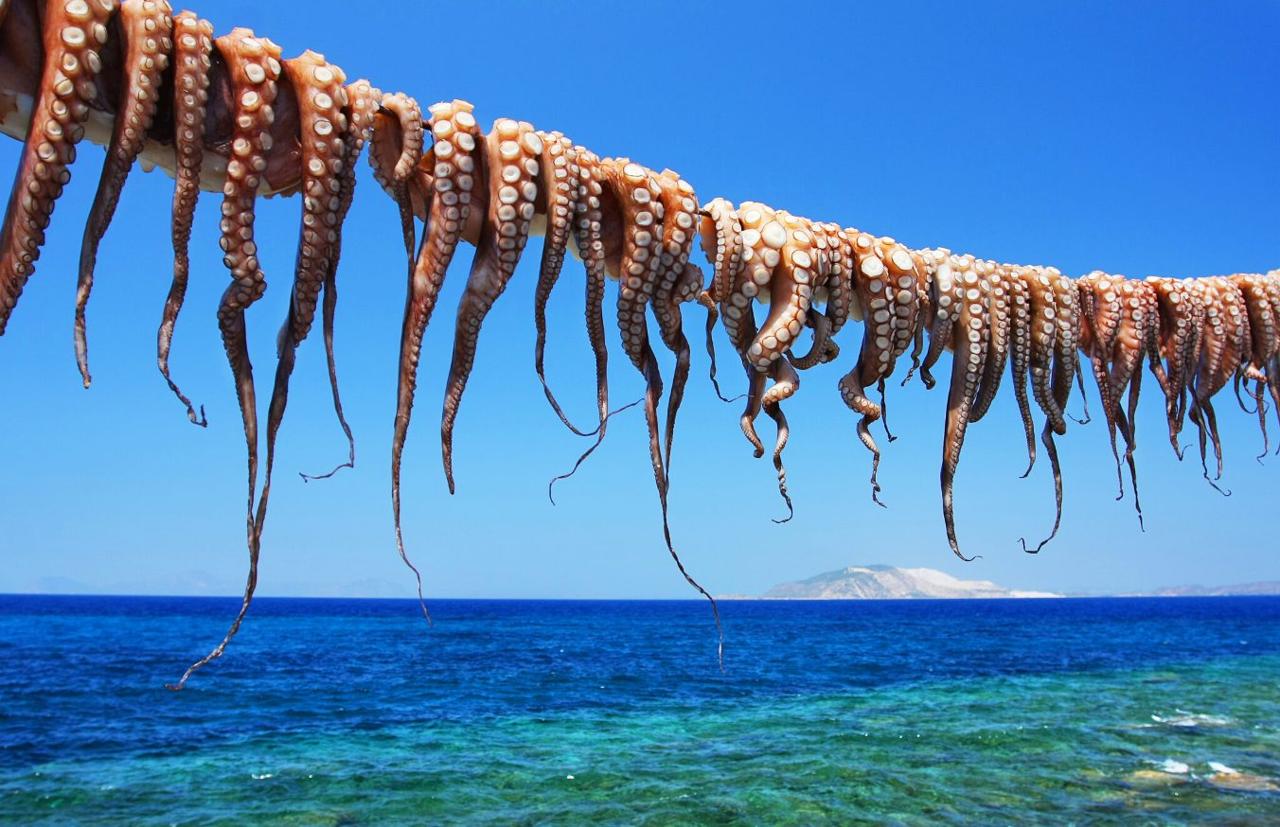 Arpaxtiko.gr